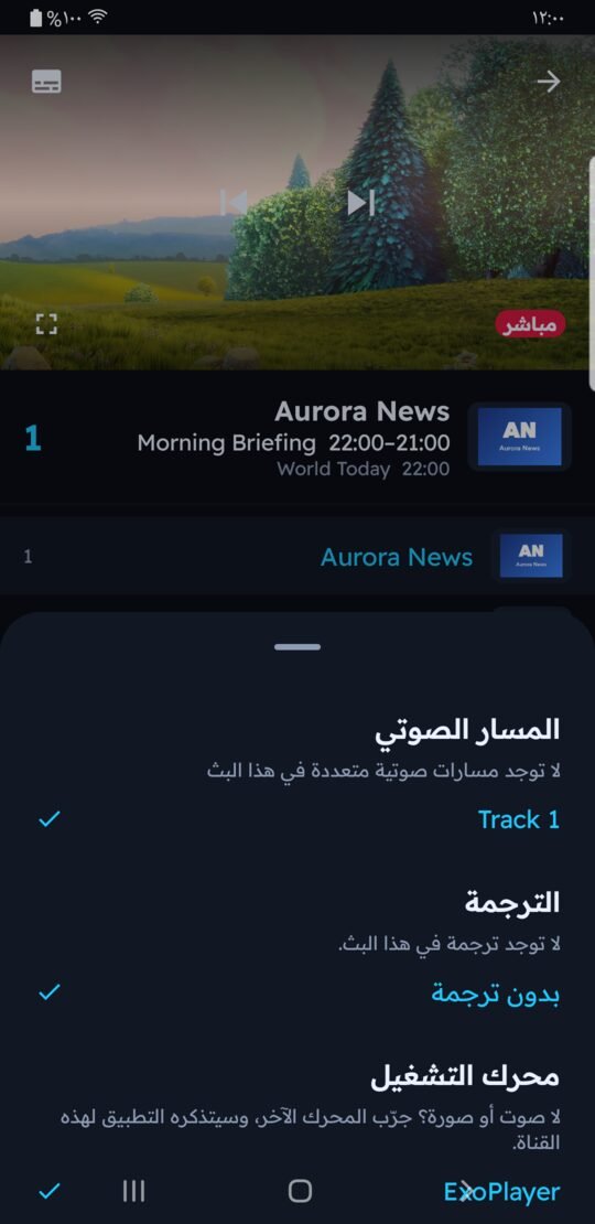 لوحة الصوت والترجمة ومحرك التشغيل في Melyo Player