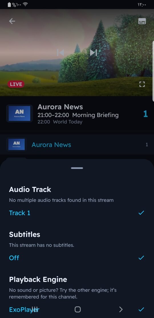 Audio, subtitles and playback engine panel in Melyo Player